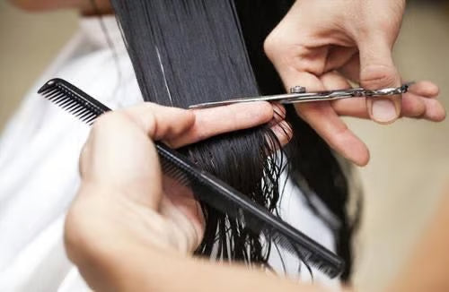 Ladies Hair Cut Wet/Dry